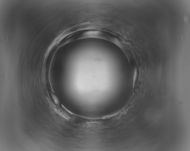 X0000081370150200701111557