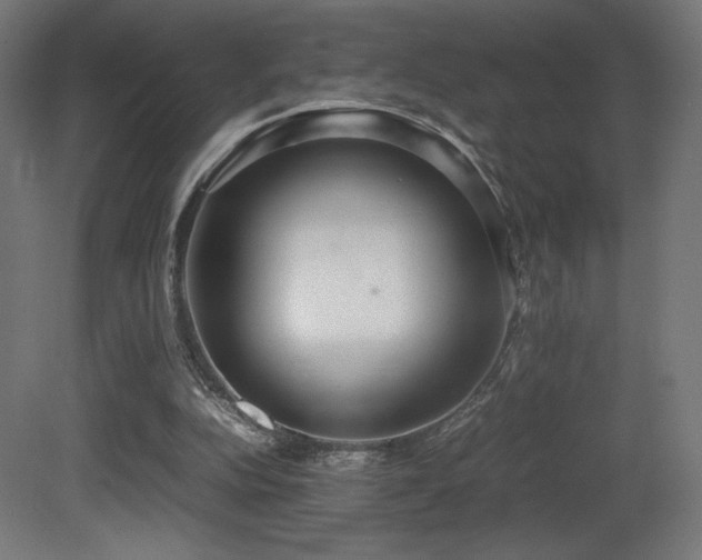 X0000081370152200701111557