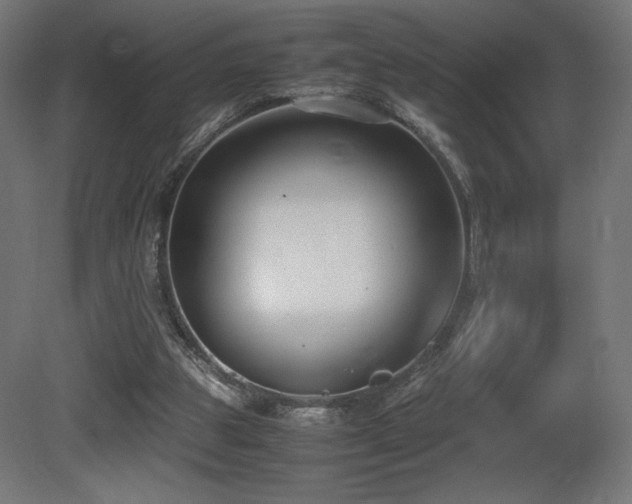 X0000081370153200701111557