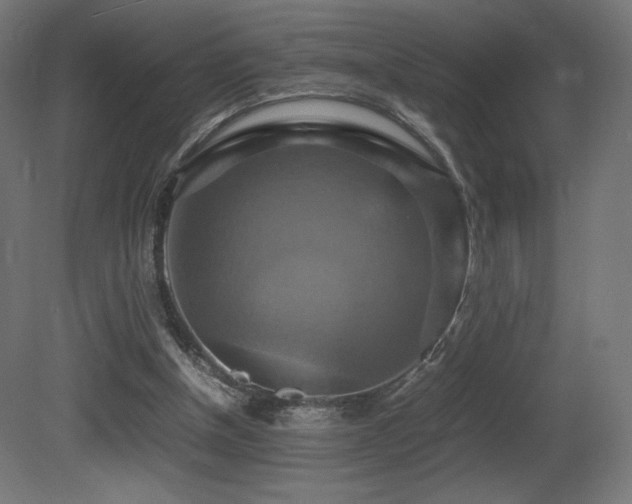X0000081370154200701111557