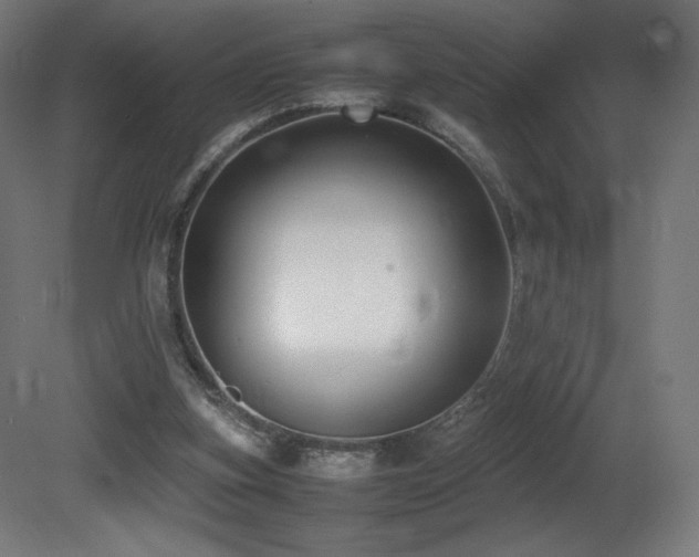 X0000081370155200701111557