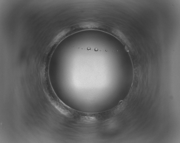 X0000081370159200701111557