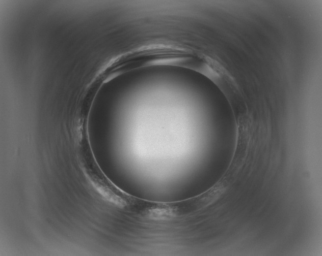 X0000081370160200701111557