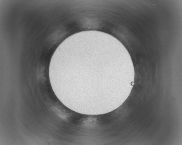 X0000081370162200701111557