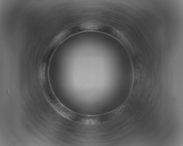 X0000081370163200701111557