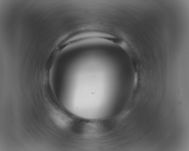 X0000081370164200701111557