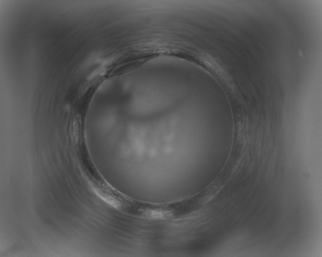 X0000081370165200701111557