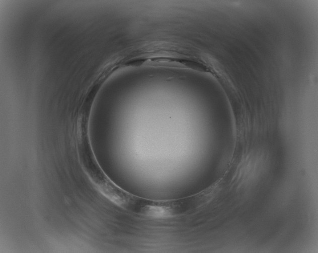 X0000081370167200701111557