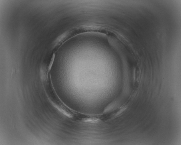 X0000081370168200701111557