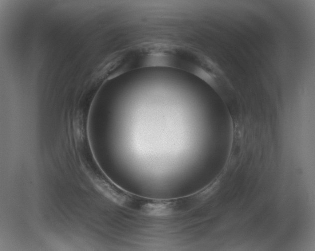 X0000081370170200701111557
