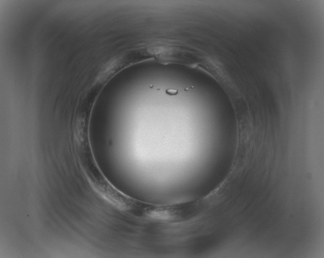 X0000081370171200701111557