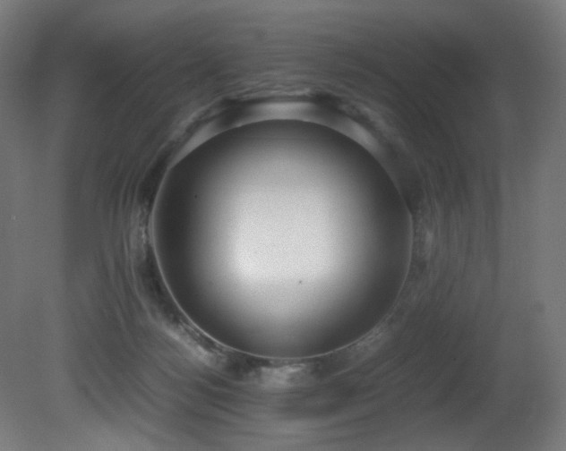 X0000081370172200701111557