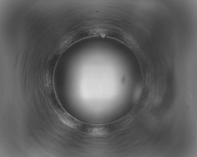X0000081370173200701111557