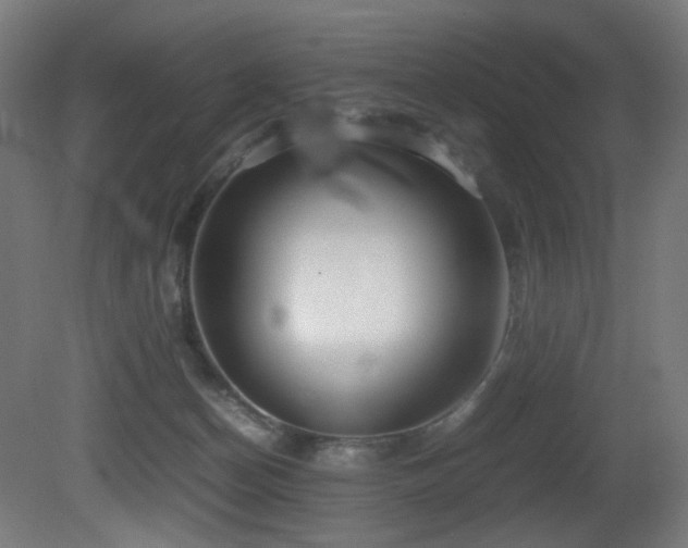 X0000081370174200701111557
