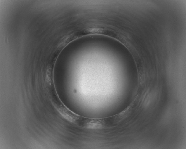 X0000081370175200701111557