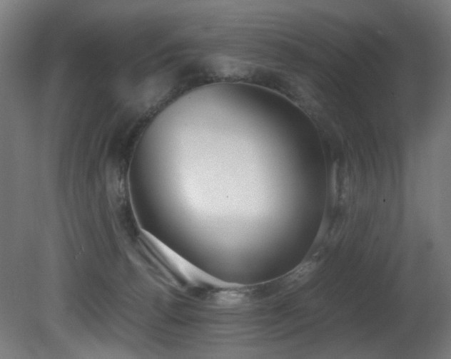 X0000081370176200701111557