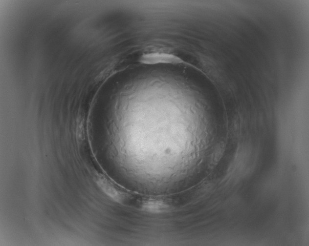 X0000081370177200701111557