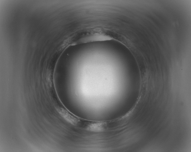 X0000081370178200701111557