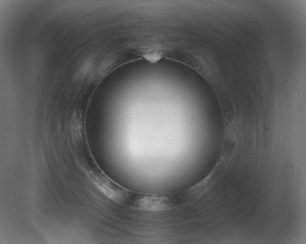 X0000081370179200701111557