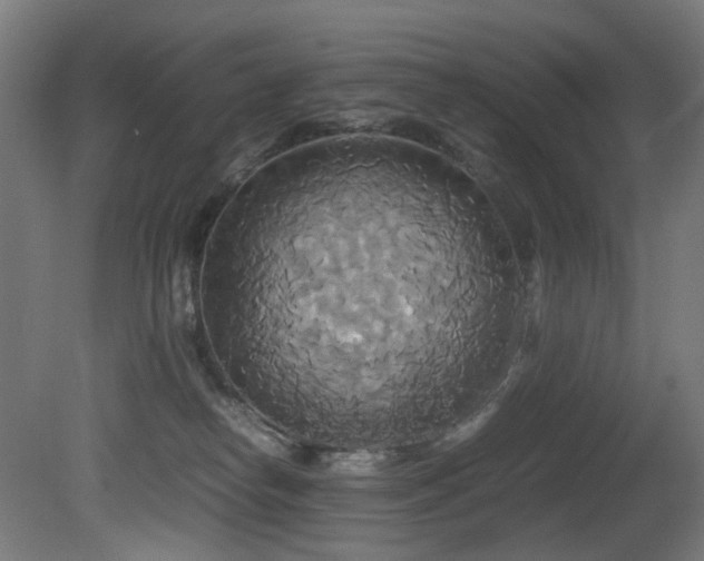 X0000081370182200701111557