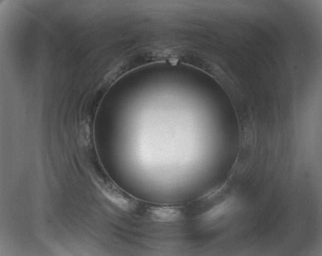 X0000081370183200701111557