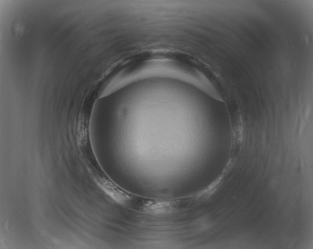 X0000081370186200701111557