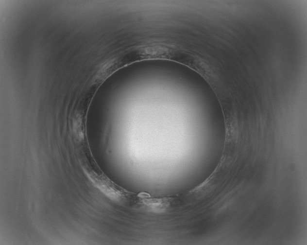 X0000081370187200701111557