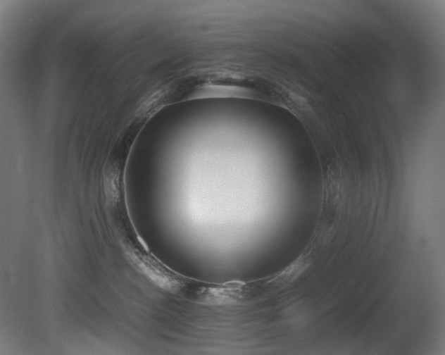 X0000081370188200701111557