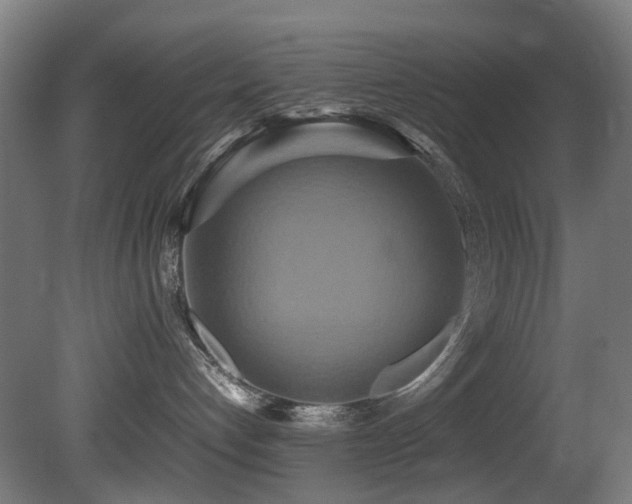 X0000081370192200701111558
