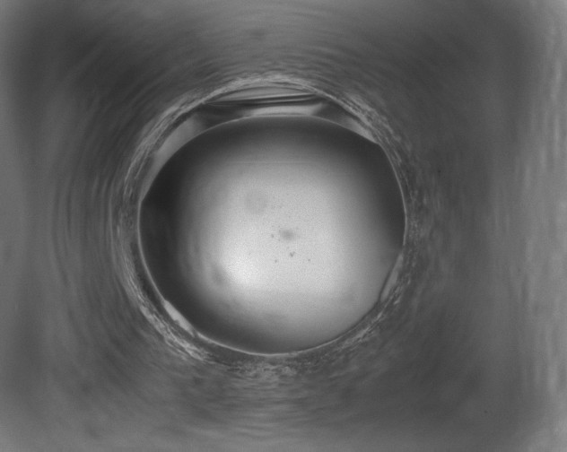 X0000081370193200701111557