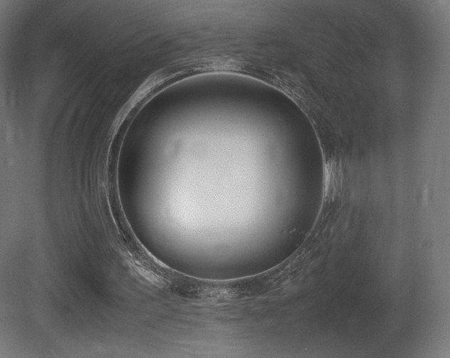 X0000081370195200701111557