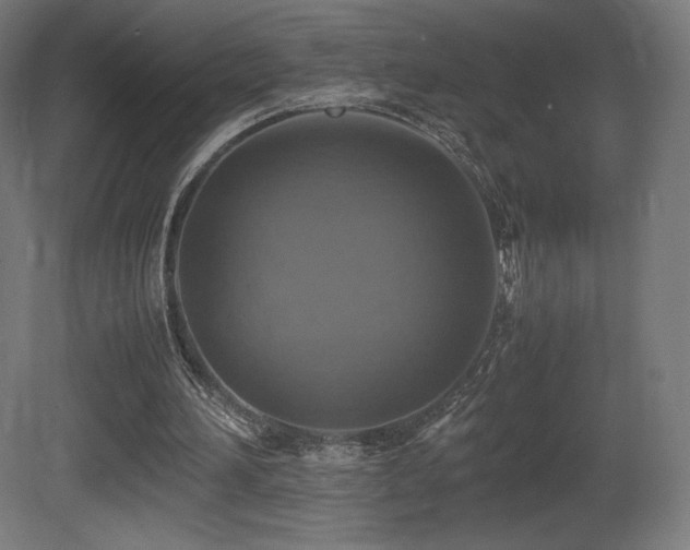 X0000081370196200701111557