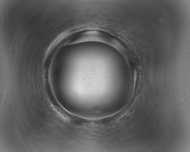 X0000081370197200701111557