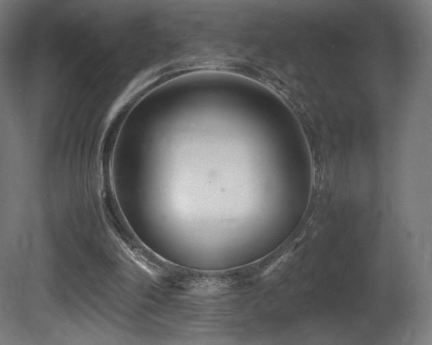 X0000081370198200701111557