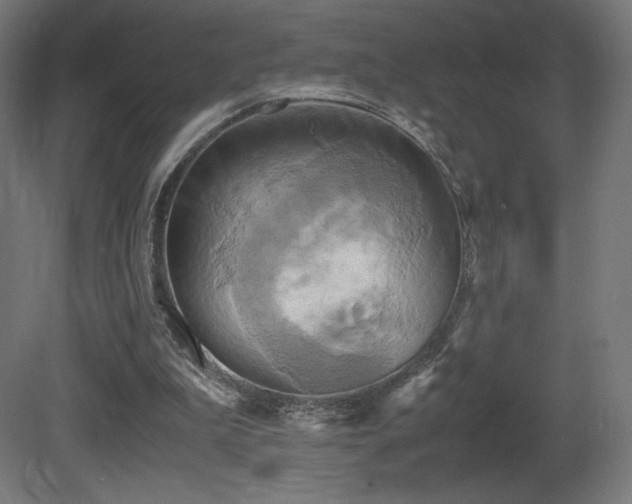 X0000081370199200701111557