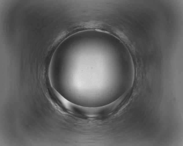 X0000081370201200701111557
