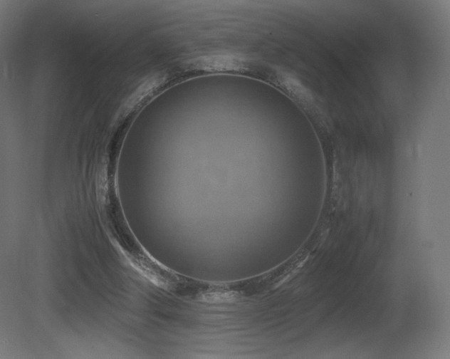 X0000081370202200701111557
