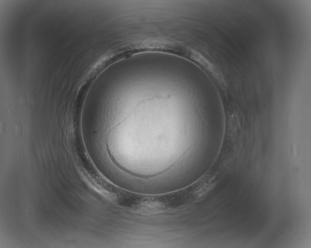 X0000081370203200701111557