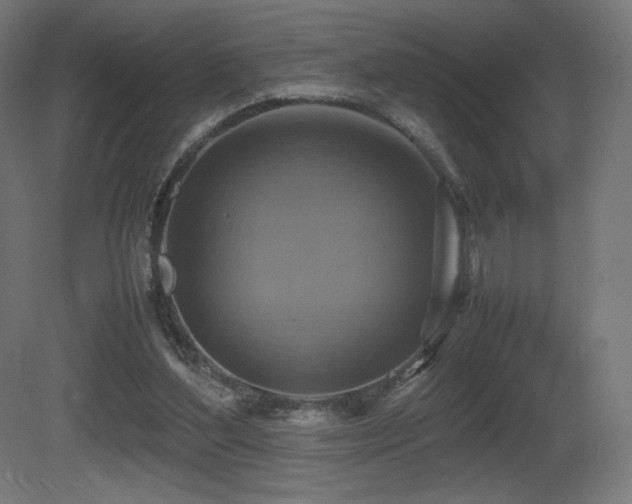 X0000081370204200701111557