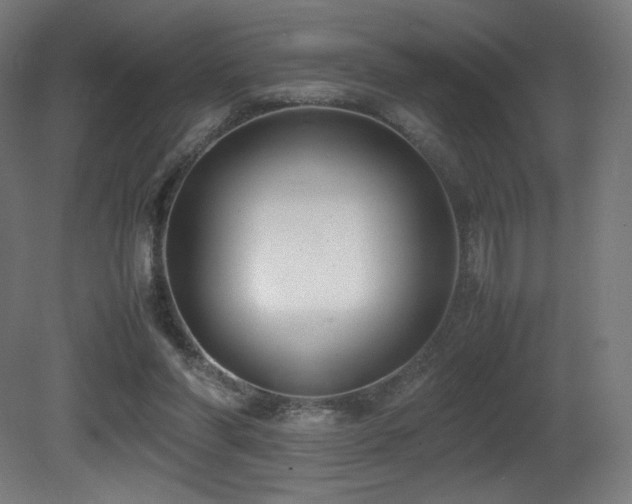 X0000081370206200701111556