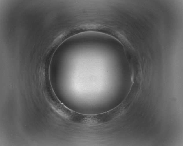X0000081370207200701111556