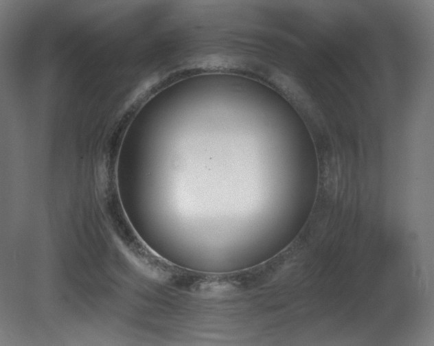 X0000081370208200701111556