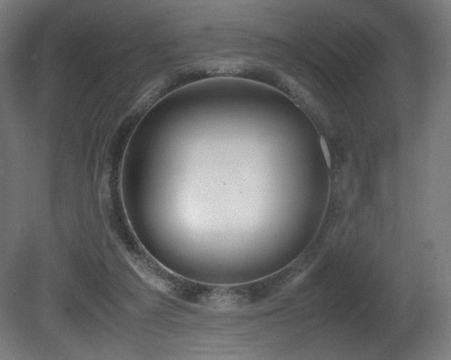 X0000081370209200701111556