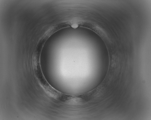 X0000081370210200701111556