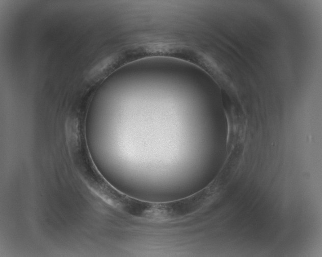 X0000081370211200701111556