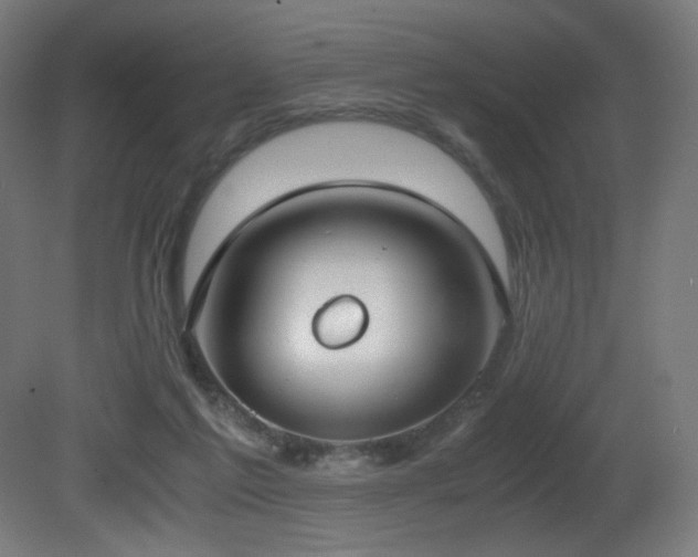X0000081370213200701111556