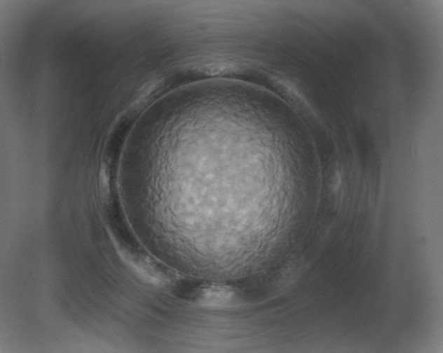 X0000081370214200701111556