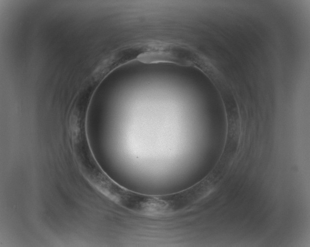 X0000081370215200701111556