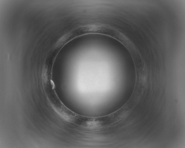 X0000081370216200701111556