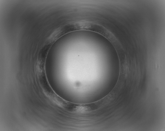 X0000081370218200701111556